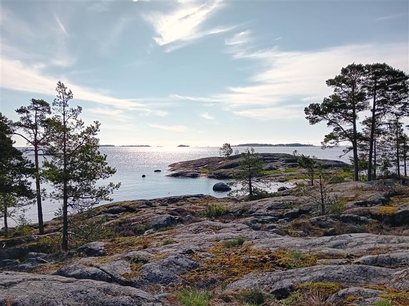 Bild från en klippa på ön Röfsä ut mot havet, med några träd och klippor