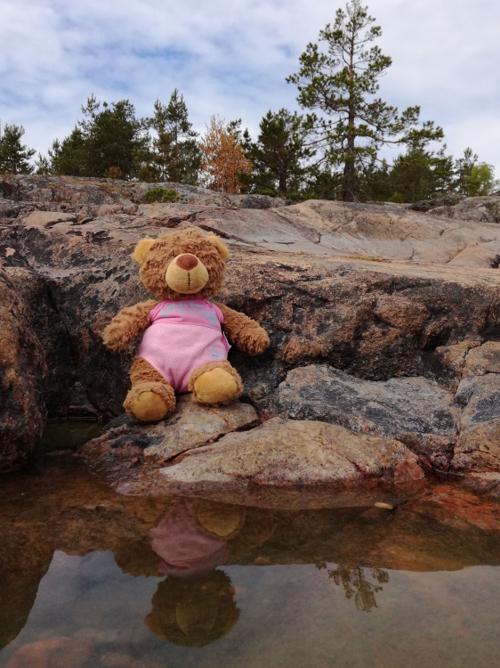 RäfsöDax familjeläger Karin-nallen på stranden