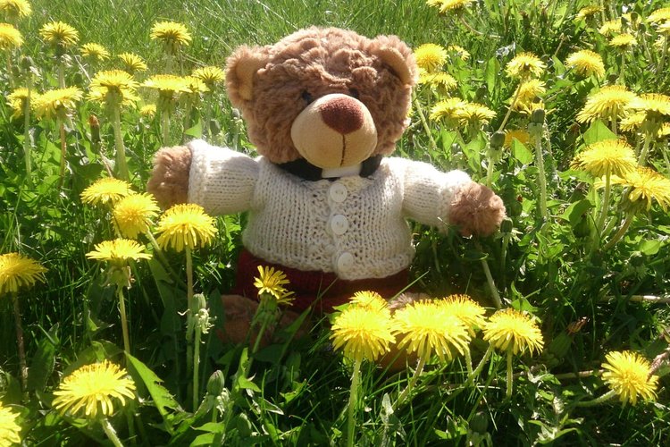 Familjeutfärd söndag 26.5.2019 Familjeutfärd söndag 26.5.2019