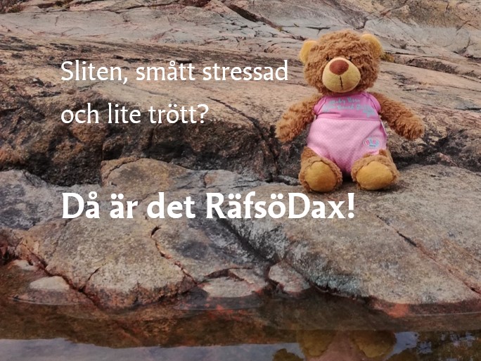 RäfsöDax församlingsläger Karin-nallen sitter på bergsklipporna i rosa baddräkt.