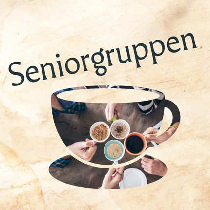Seniorgruppen